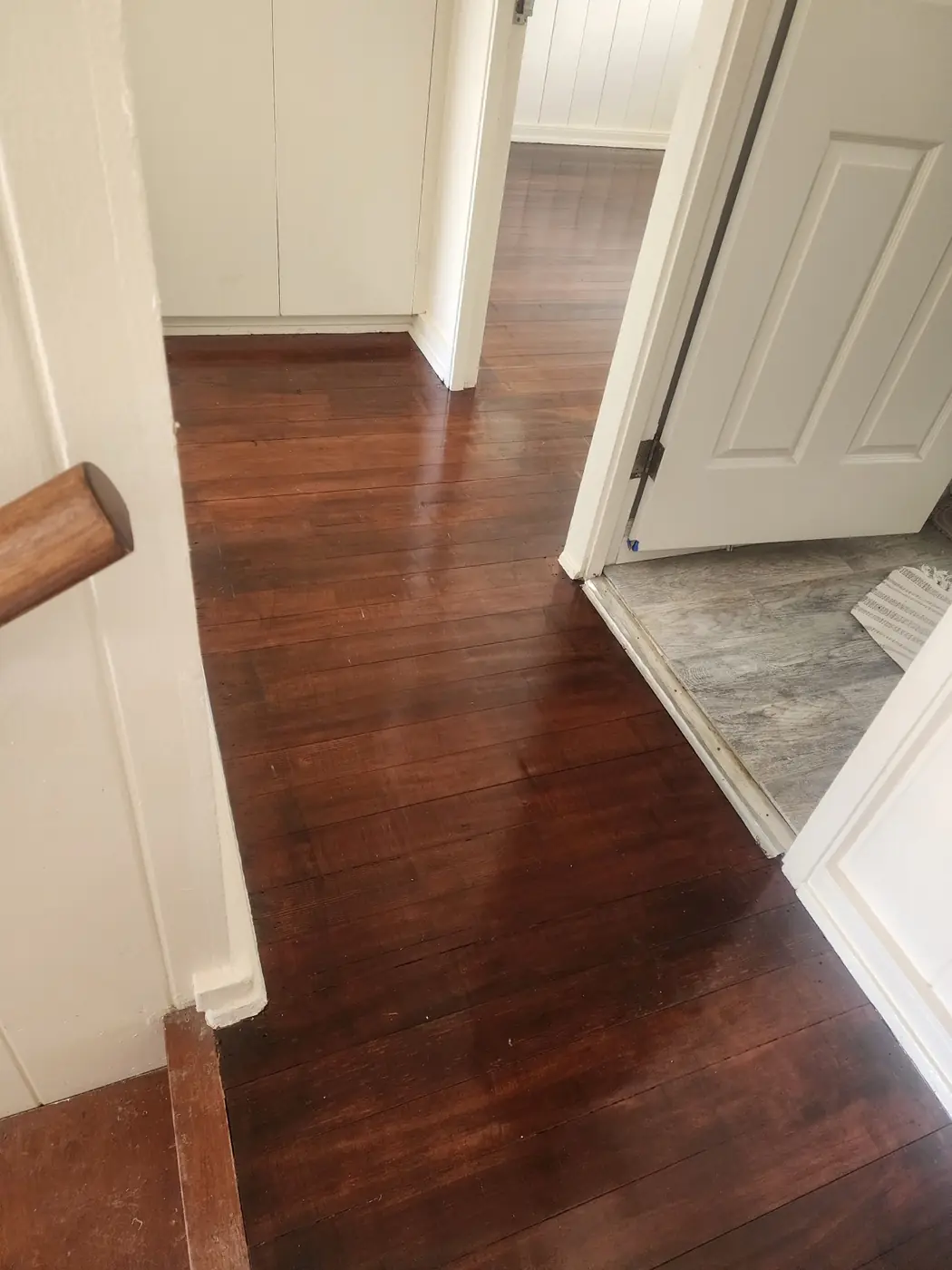 Hardwood floor refinish complete: rich warm tone across the planks, late-afternoon light