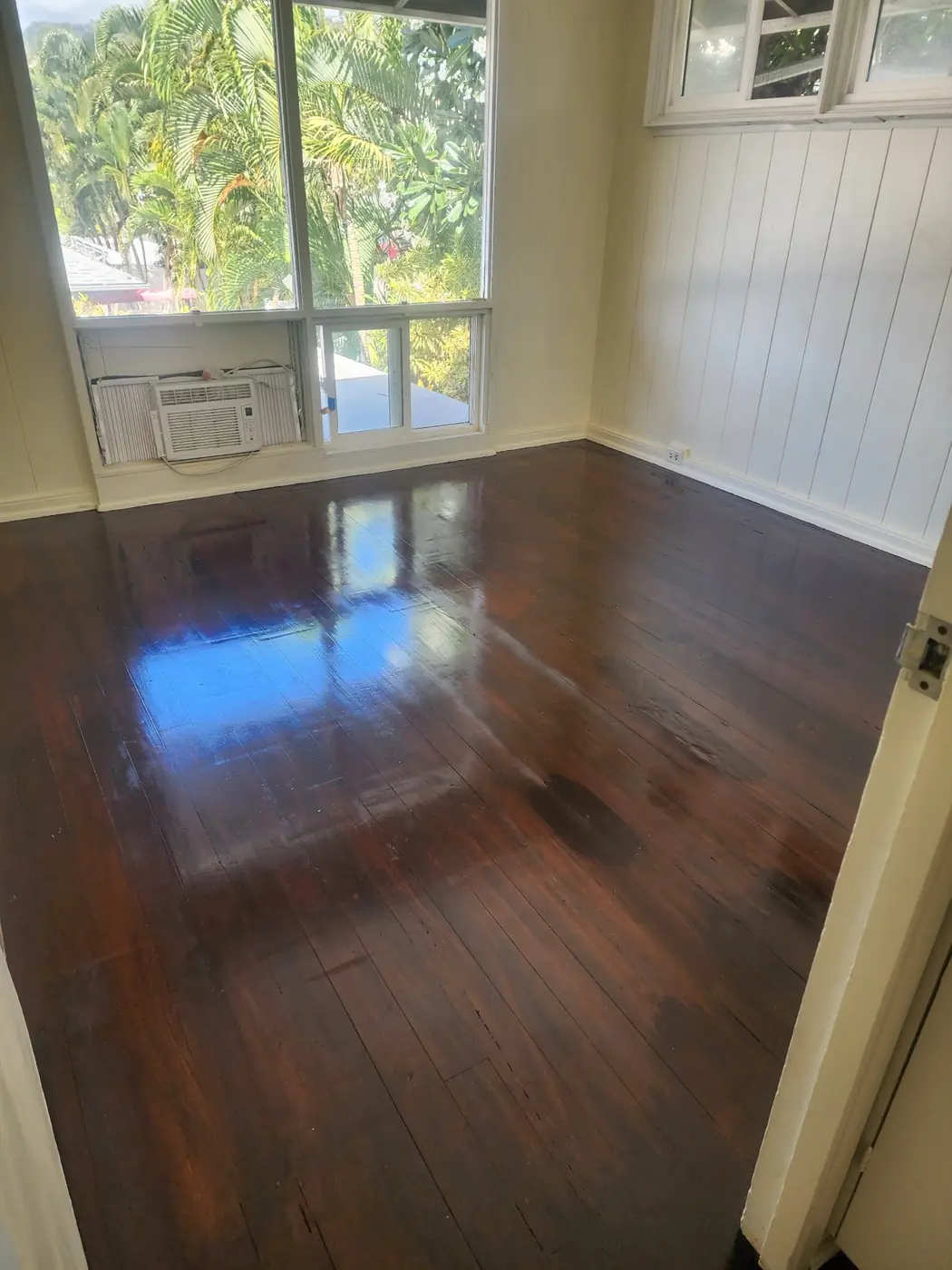 Hardwood floor refinish: wider angle showing the finished color across the room