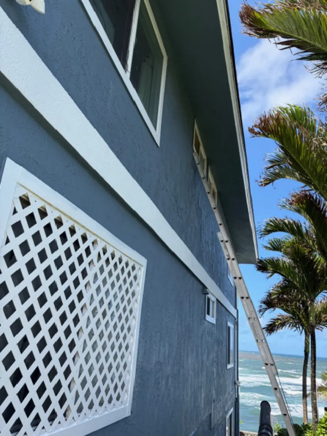 Salt-air spec finish: looking up the slate-blue facade with the white lattice screen, palm canopy and ocean line at the top of the frame
